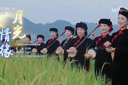 琴声悠扬展壮乡风采，登上央视的广艺天琴乐队背后的故事